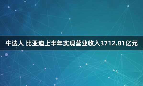 牛达人 比亚迪上半年实现营业收入3712.81亿元
